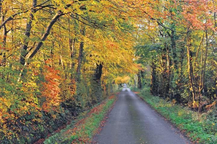 Greenway Guesthouse Mullingar Luaran gambar