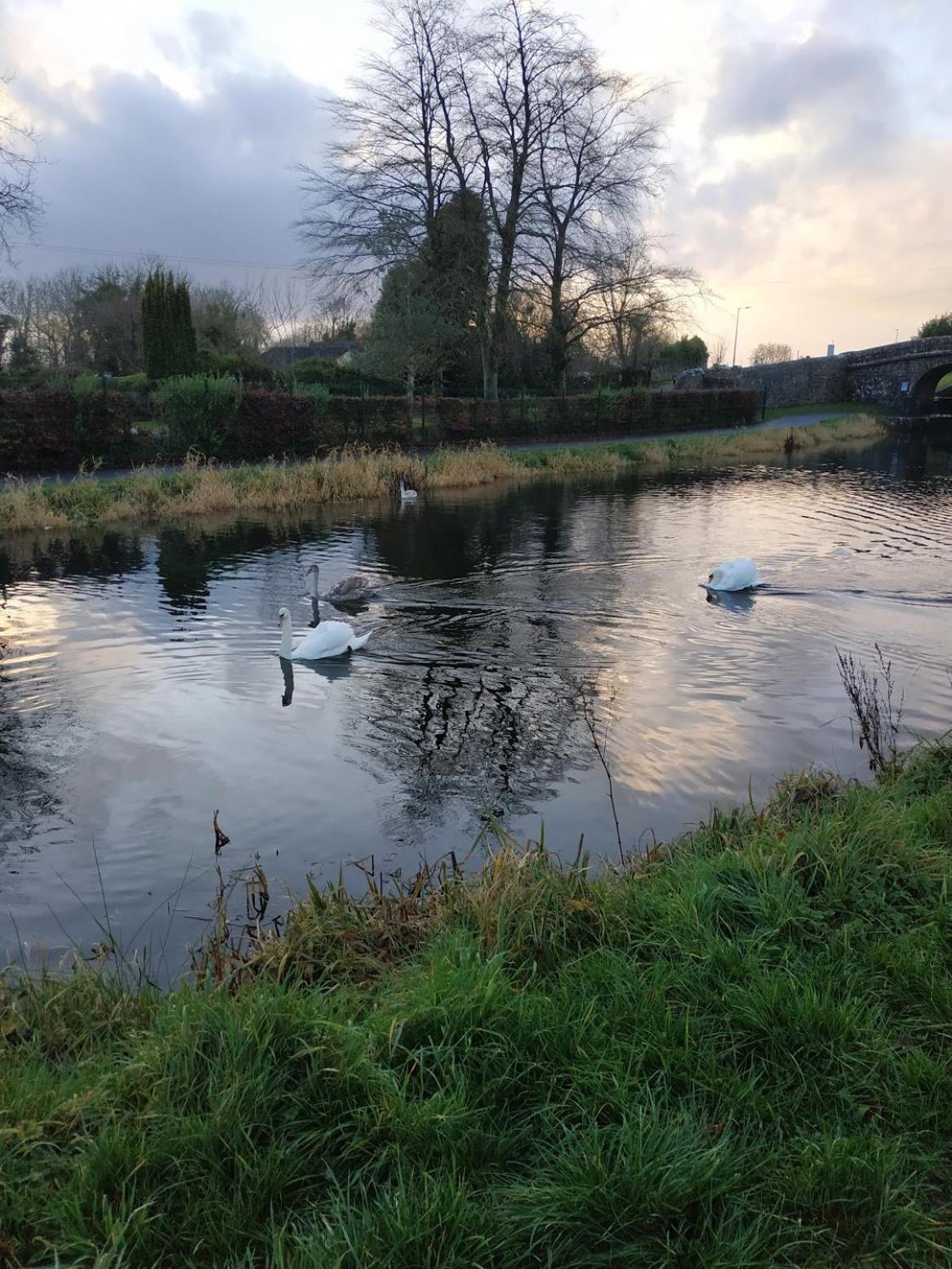 Greenway Guesthouse Mullingar Luaran gambar